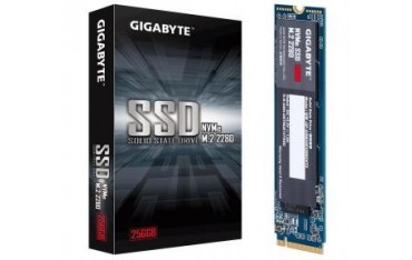 Dysk SSD Gigabyte 256GB M.2 2280 PCIe 3.0 x4 NVMe (1700/1100 MB/s)